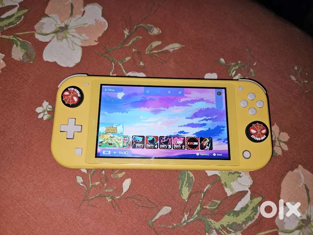 Switch Lite
