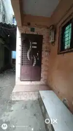 Flat for sale