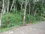 Property for sale ( 26 cent )