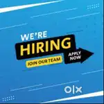 female backend office and digital marketing exp