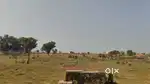 300 square meter, JDA, West, Commercial plot for sale at Ring Road