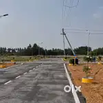 Mettupalayam Road - Veerapandi - New DTCP plots sale