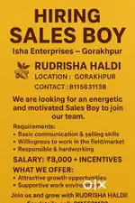 Sales Executive