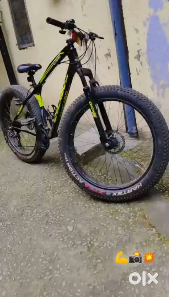 Fat bike 21 speed gear