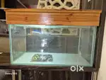 Aquarium Full Setup