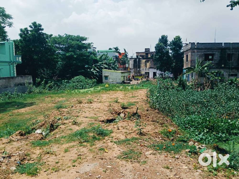 Road side plot