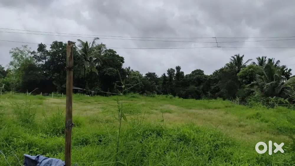 SETTLEMENT PLOT FOR SALE, BICHOLIM, AREA 454SQMTS, @₹7999/SQMTS