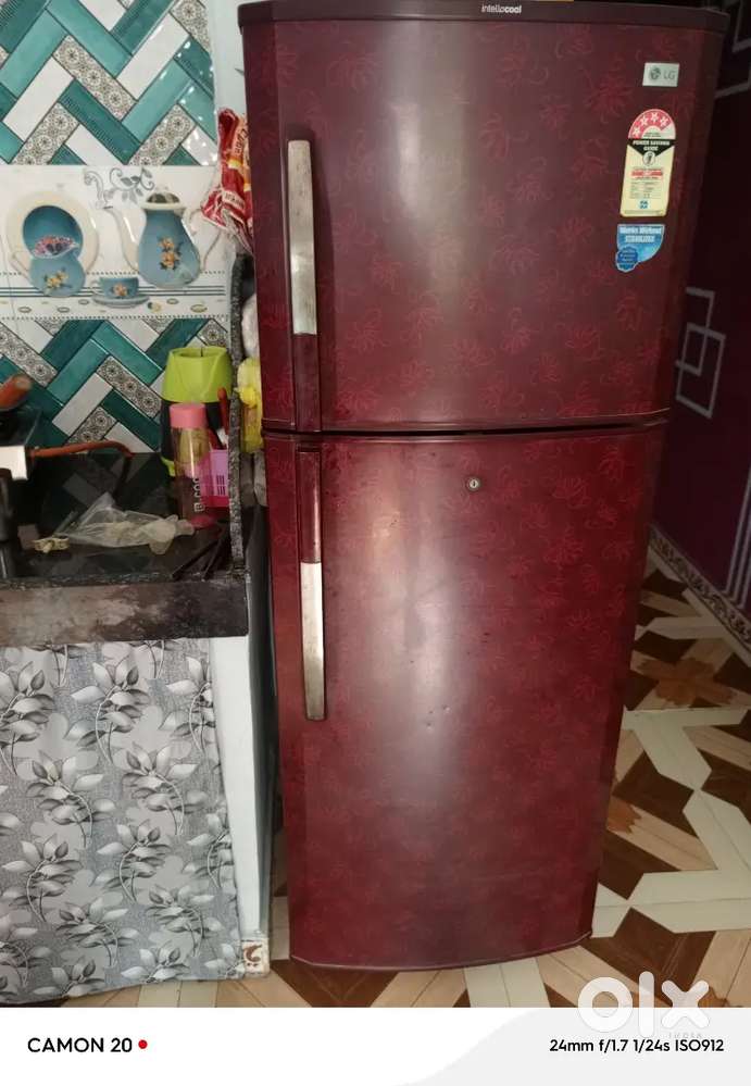 Fridge dena h