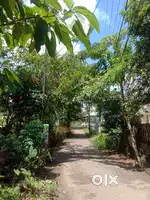 18 cent land with old house near thiruvalla