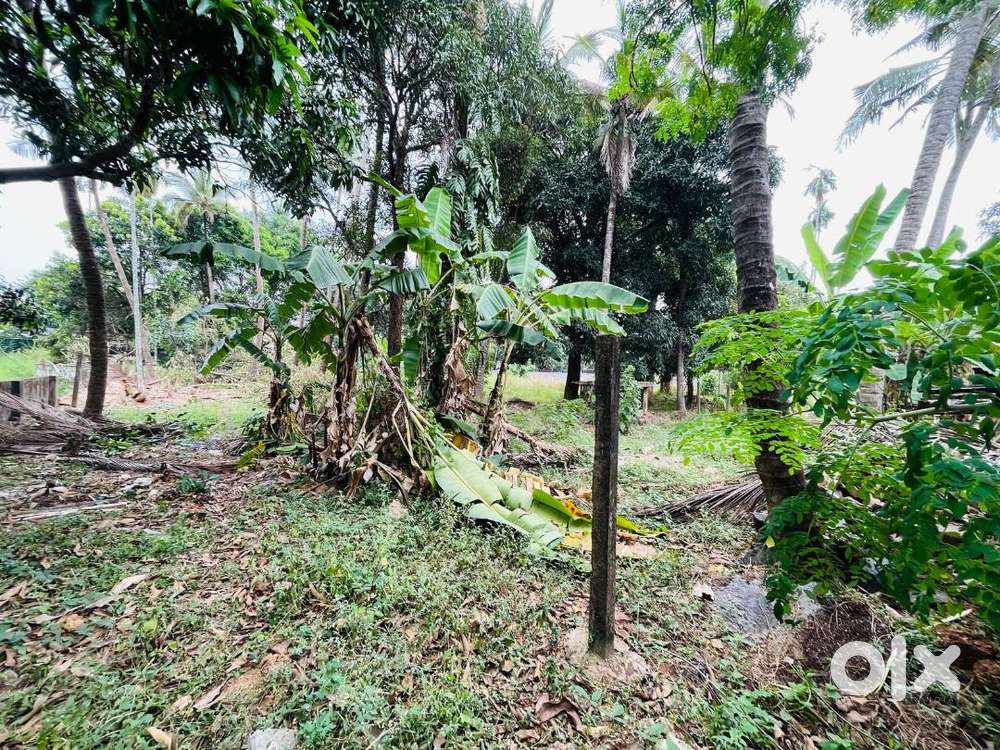 Peringavu  10.45cent Residential land –Thrissur