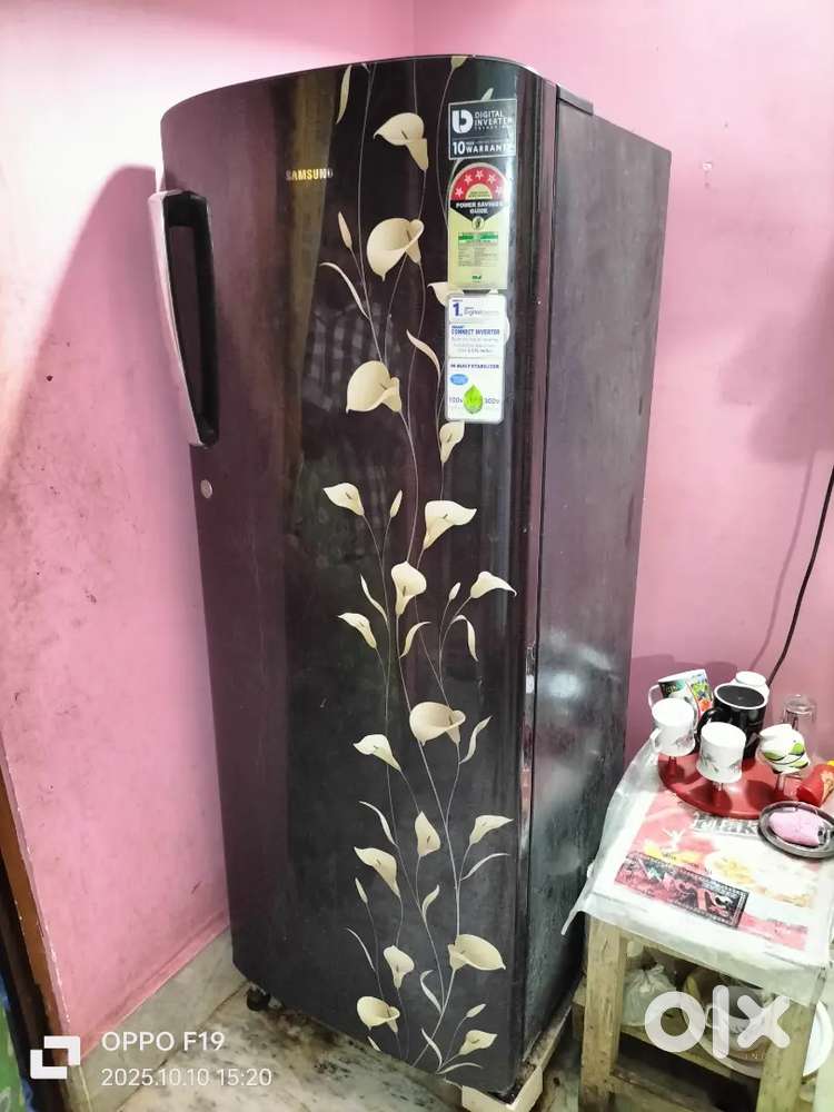 Fridge with 10 year warranty