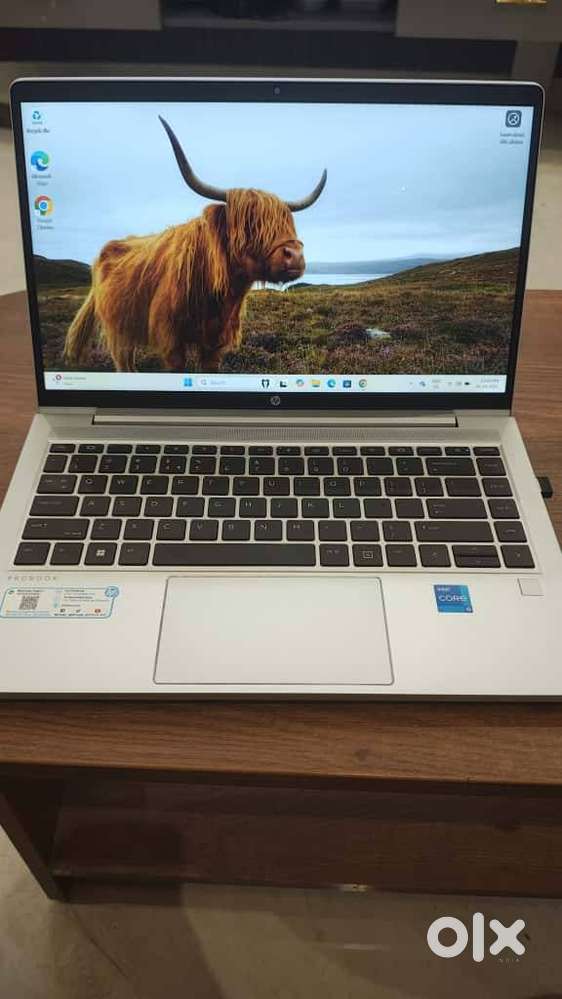 HP Probook 440 G10