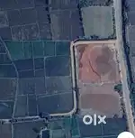 One acre agricultural land for sale in bannikodu