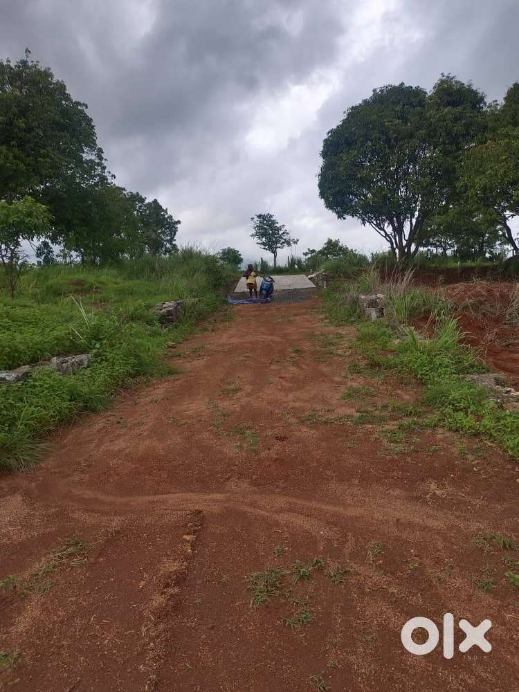 9 Cent House plot for Sale in Elappully, Palakkad