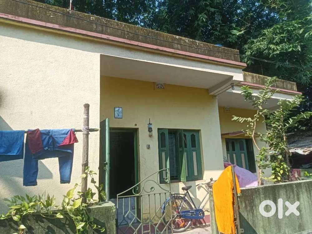 এই বাড়িটা বিক্রি আছে কেউ যদি নিতে চান যোগাযোগ করুন