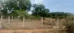 Land for immediate sale in adiyanoothu village