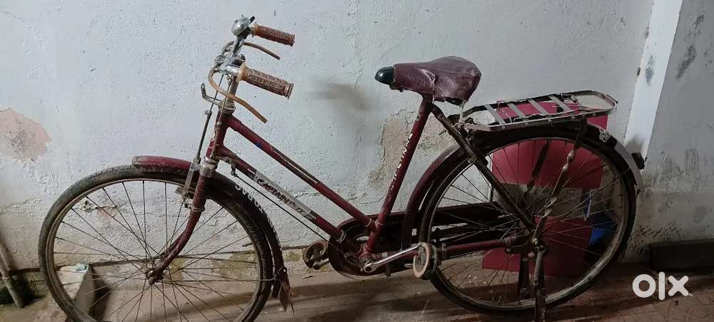 Lady cycle