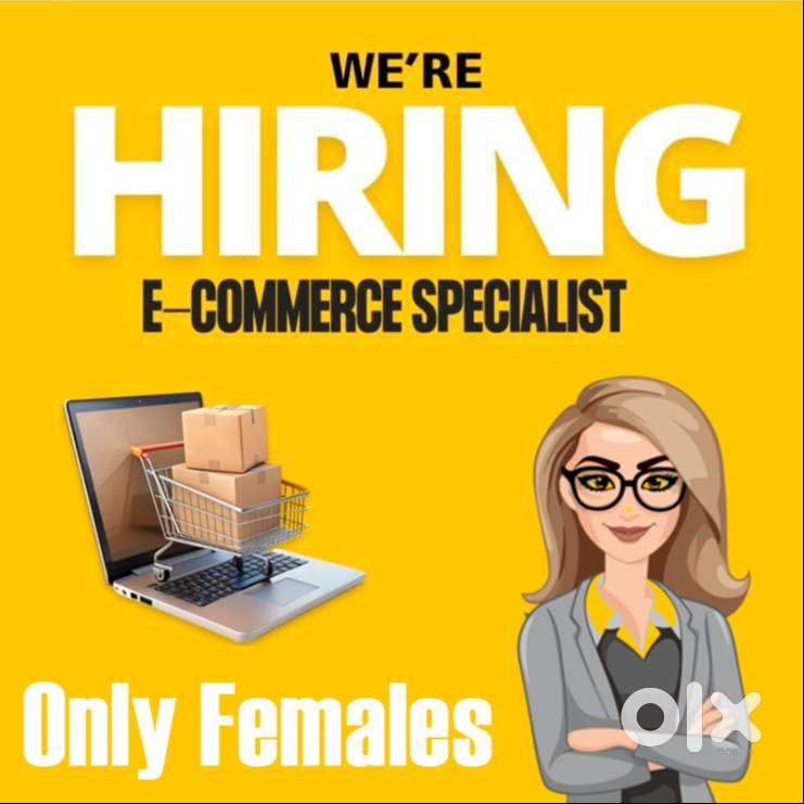 Data entry specialist - E Commerce