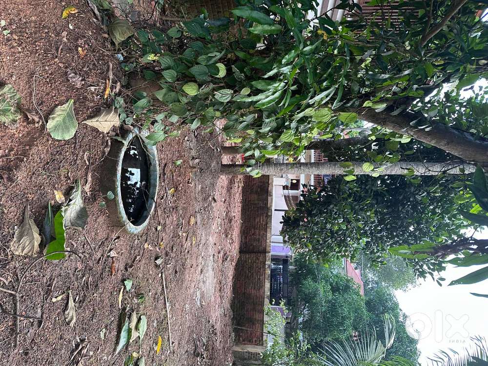 5 cents of land for sale in Kootamvila Road