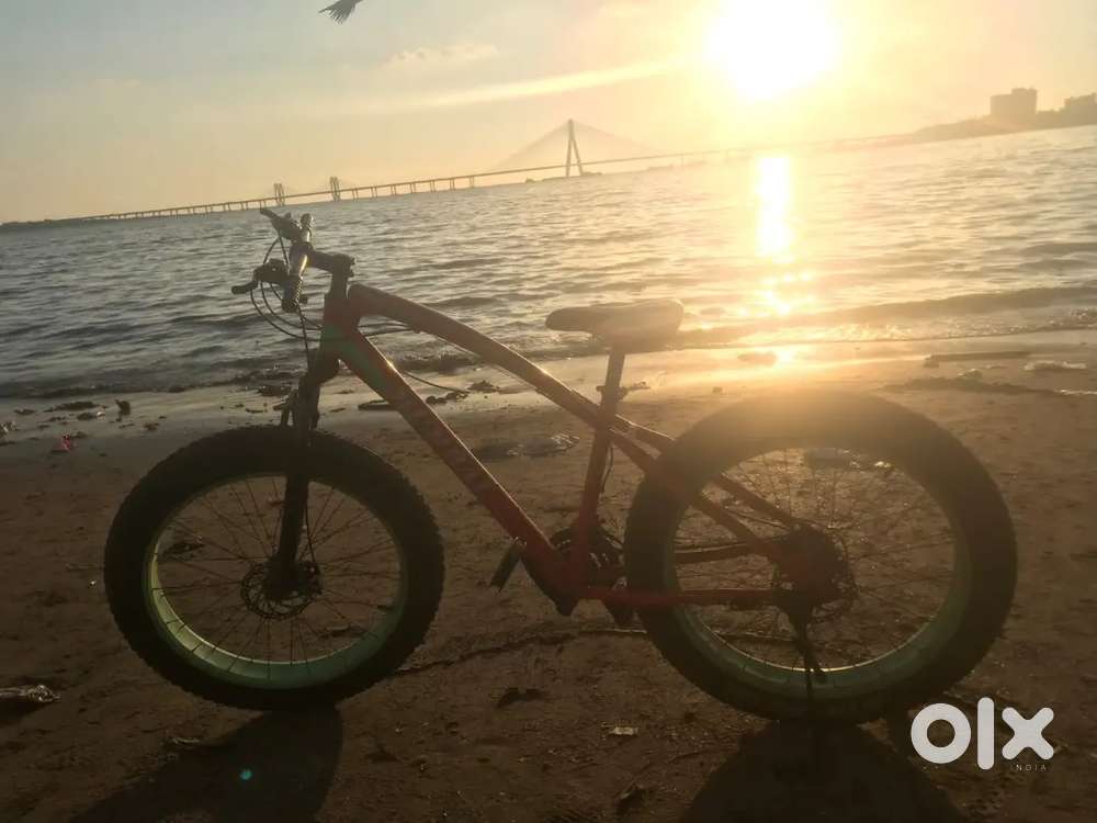Fat Bike (Fat tire Cycle)