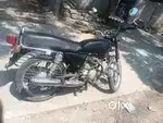 Kawaski boxer
