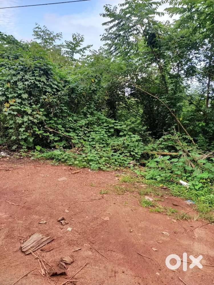 400 M2 Plot for Sale in Gogol, Margao