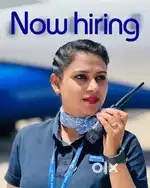 Airline Ground staff, airport jobs, Indigo, Cabin crew, Aviation