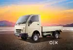 Looking for 4 wheel Driver with Badge