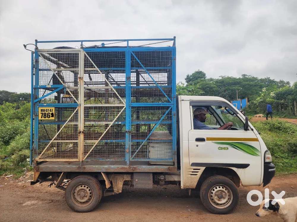 Carry CNG/Petrol 2021