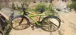 AFRO ka cycle for sell 1500 ₹