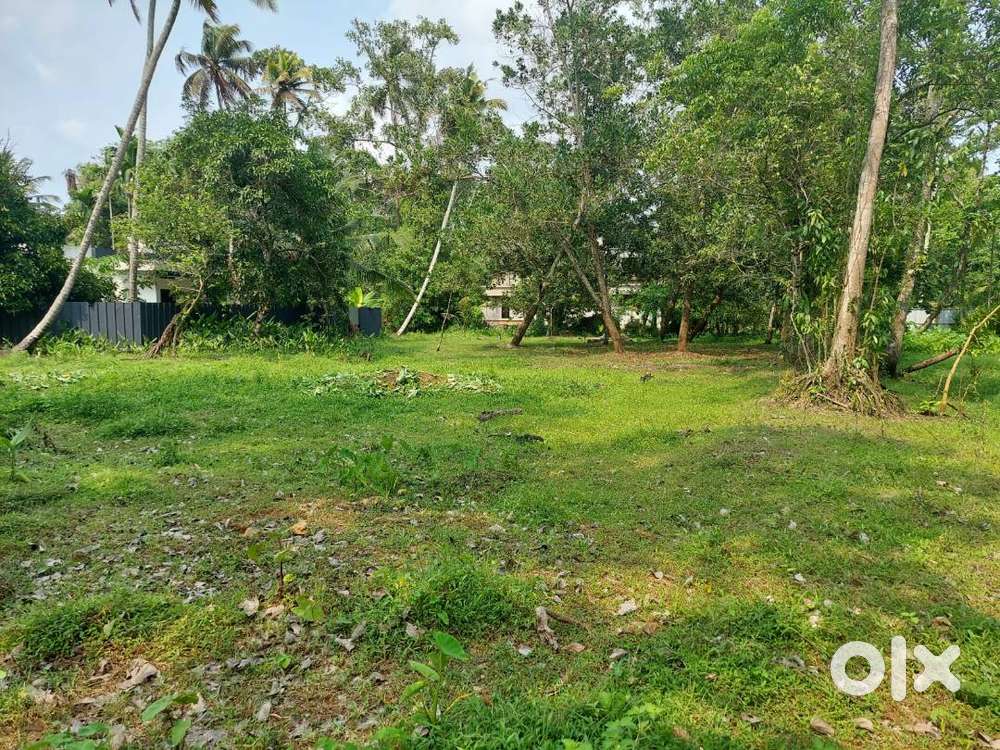 Land For SALE - Cherthala Municipality :  ₹3.25 Lakh Per Cent