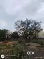 Plot in kottapattu 1200square foot Dtcp Approved