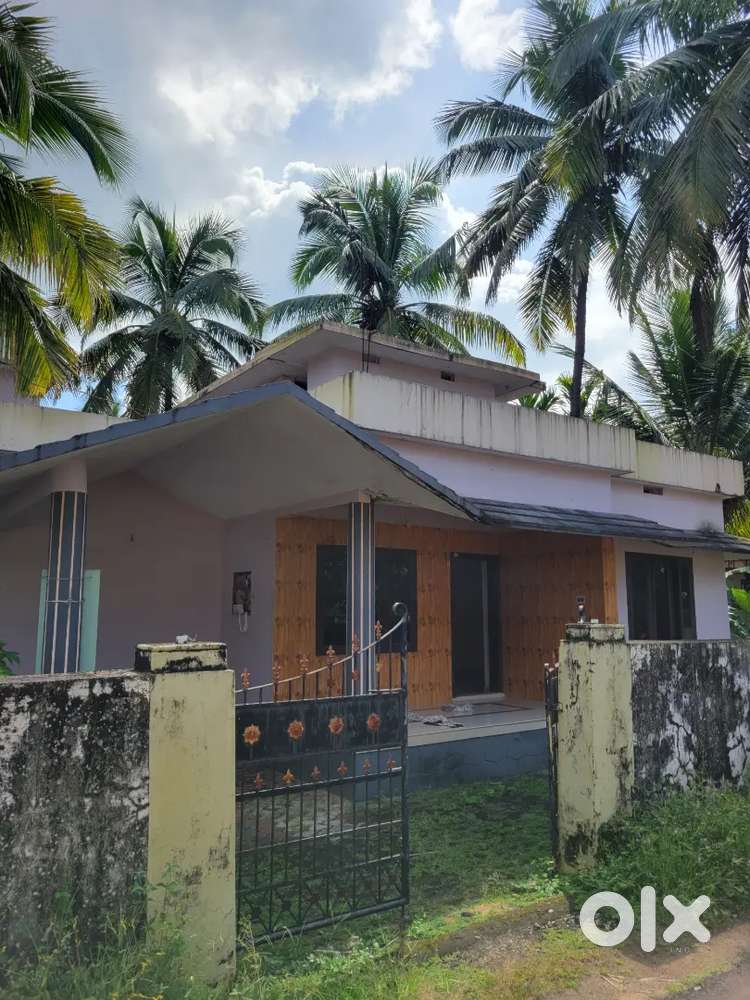 House for rent
