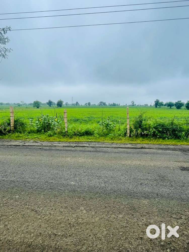Agriculture Land