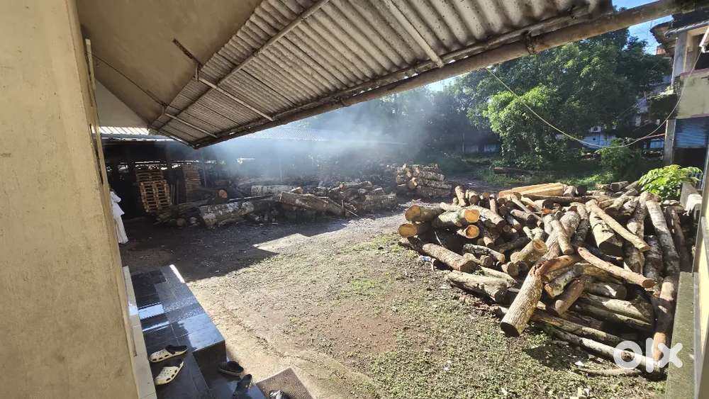 Urgent Timber Sawmill Supervisor needed