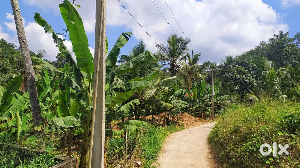 20 cent plot for sale at nedumangad