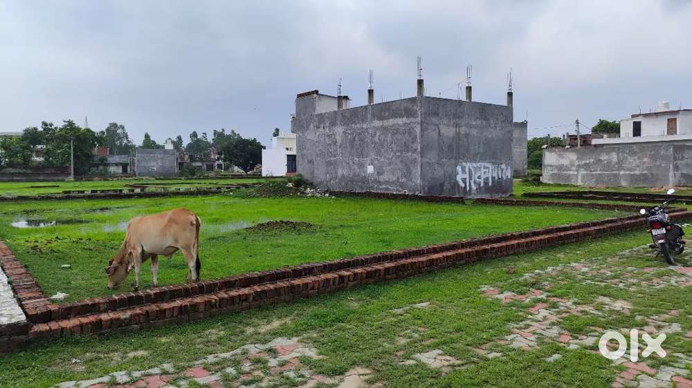 Free hold plot available bank approved