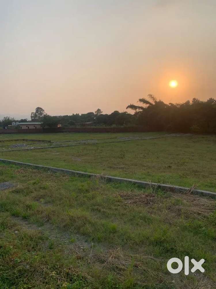 लाइट पानी और सड़क की सुविधा के साथ