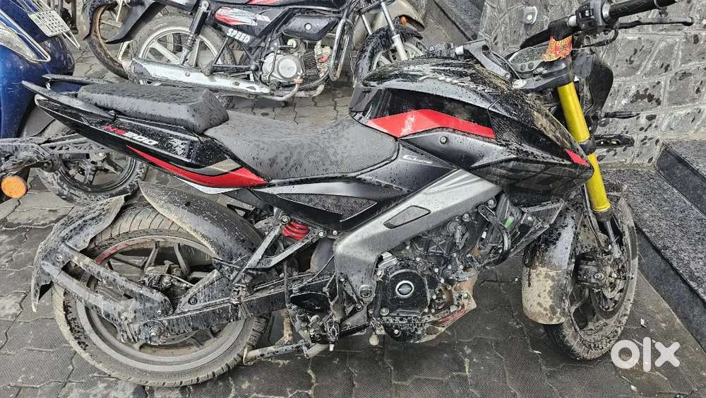 1 year old with service record