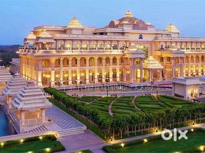 Job & Room: Fresher Waiter