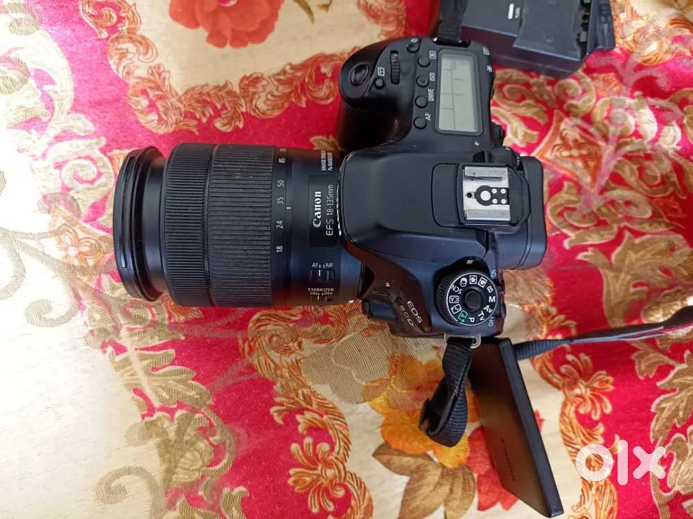 Canon 80D model