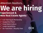 Real Estate sales executive
