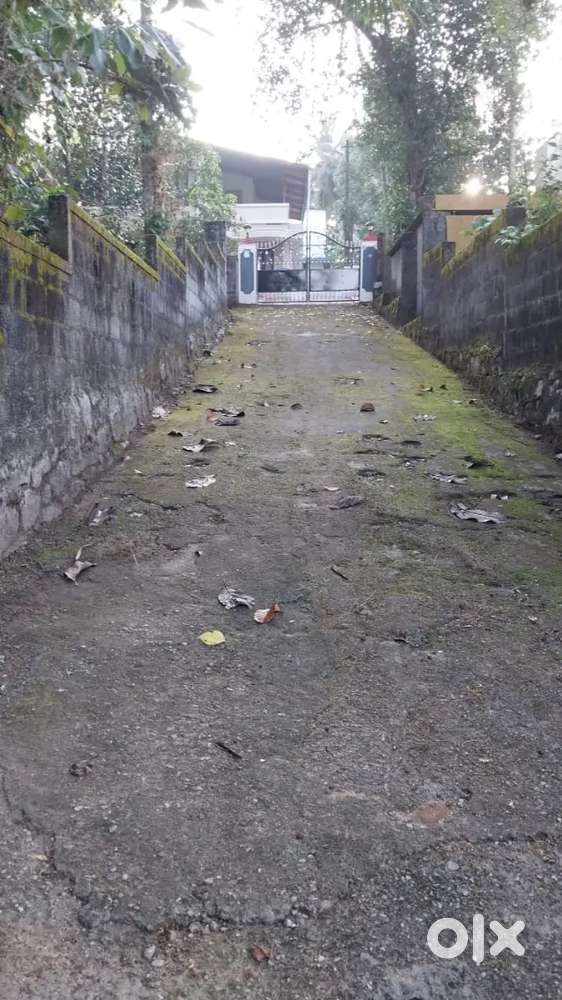 6cent land for sale konchiravila