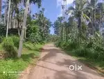 Prime Plot for Sale in Cheengode, Nadavayal, Wayanad