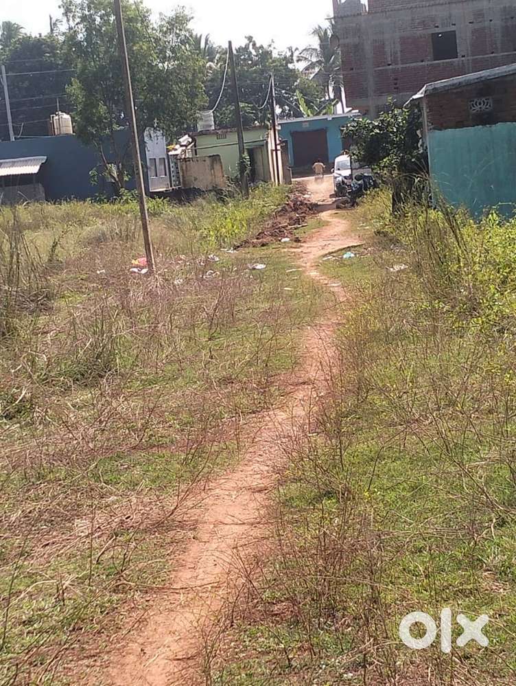 Gharabadi Plot with East Facing