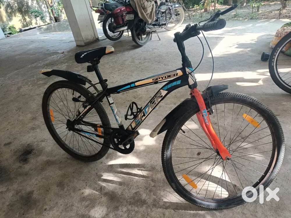 6mont old cycle