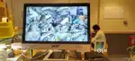 Cctv camera sell and service
