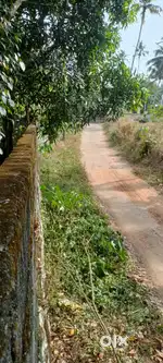 14.5 cent plot for sale, near 18th Mile