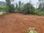 Mankamkuzi