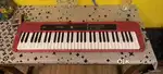 Casio piano musical instrument